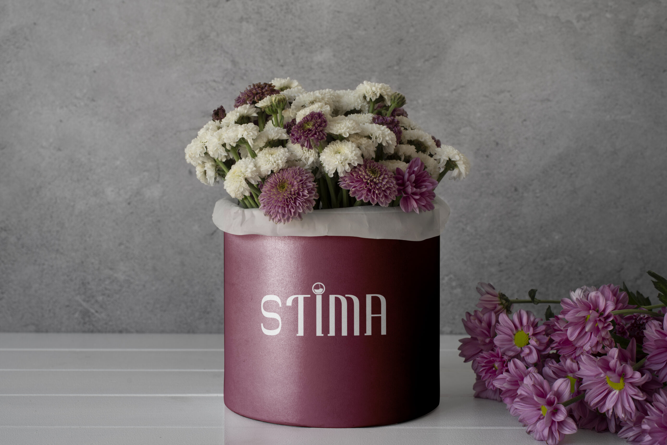 freelance digital designer